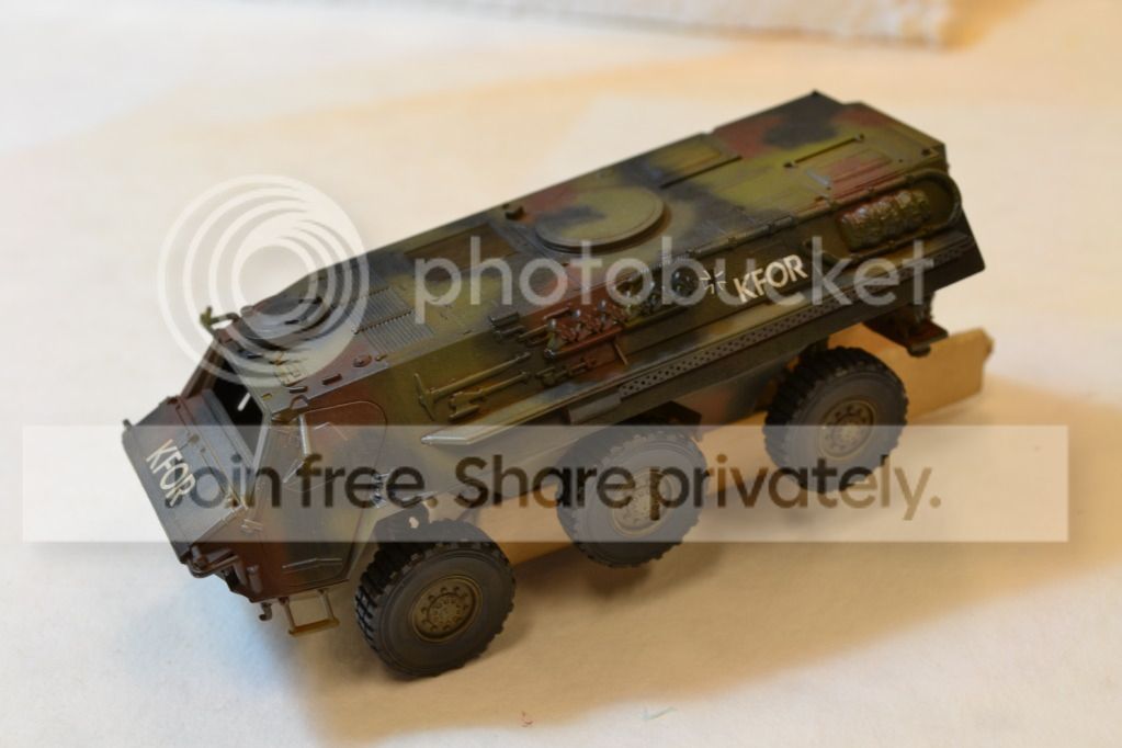 fuchs1.jpg