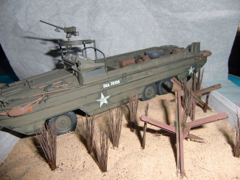 CIMG3816_800x600.JPG