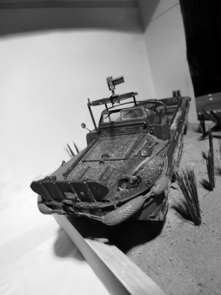 CIMG3834_450x600.JPG