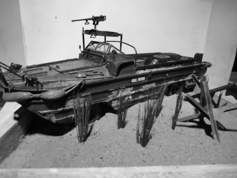CIMG3832_800x600.JPG