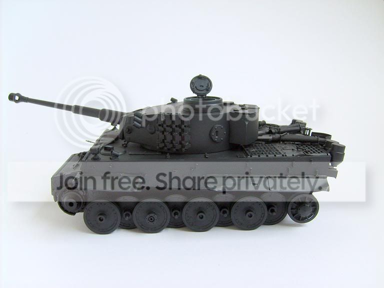 tiger1.jpg