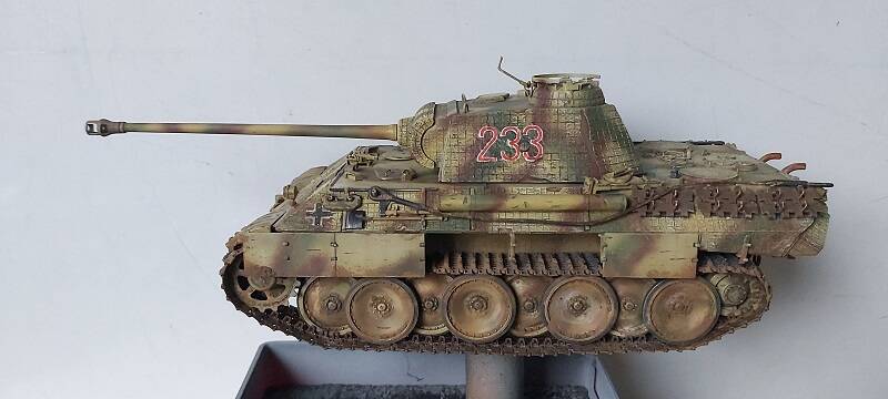 30-standard-ylp7fb.jpg
