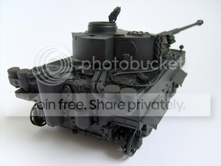 tiger4.jpg
