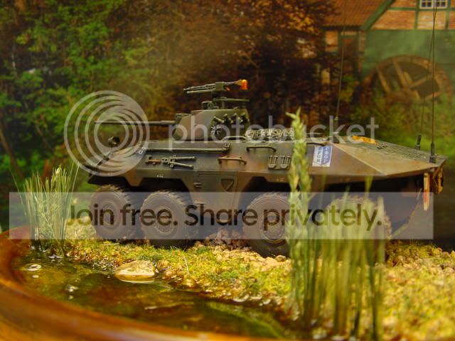 DSC00074.jpg