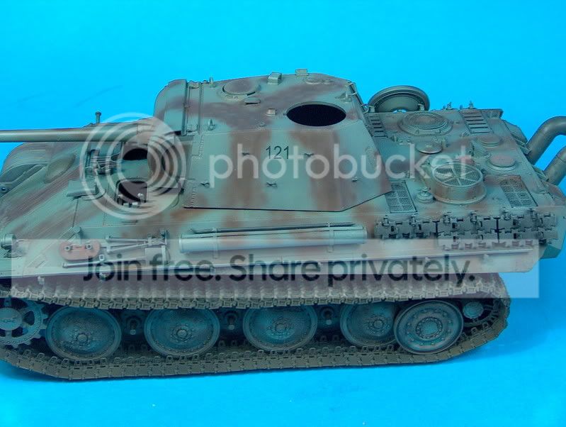 panther6019.jpg