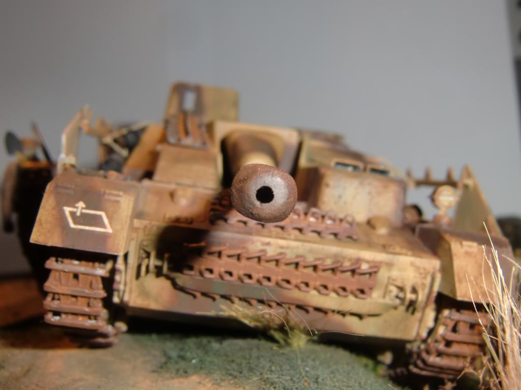 CIMG8942.jpg