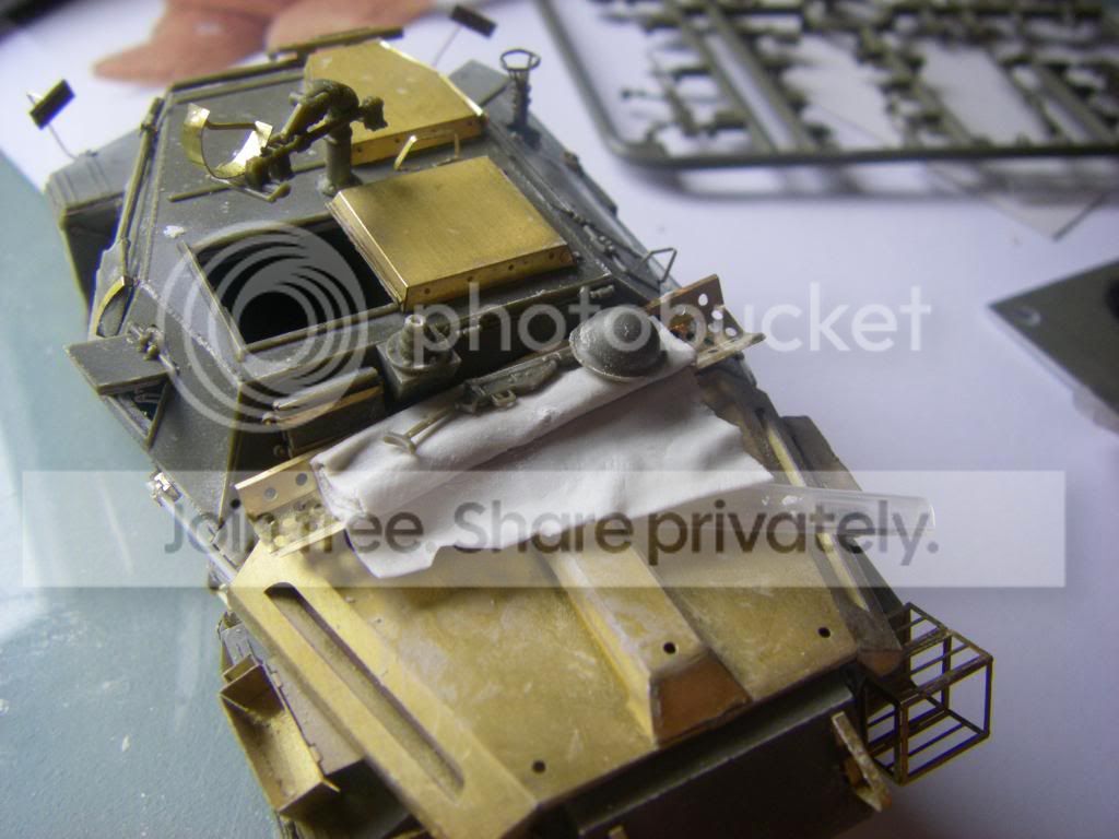 IMGP1129.jpg